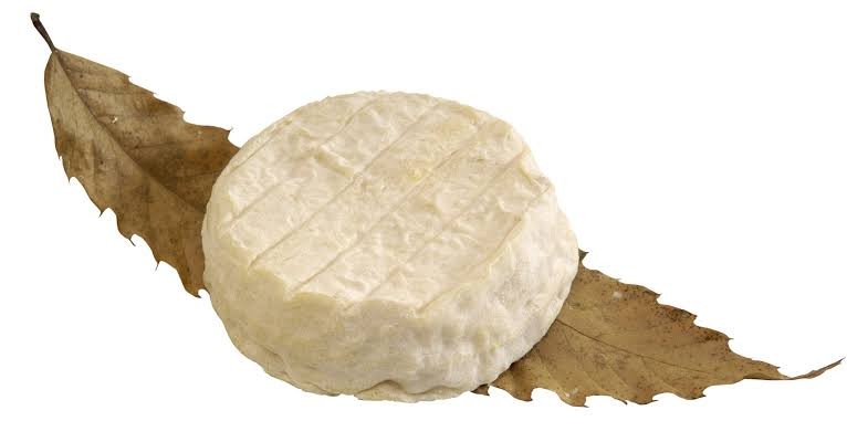 Mothais sur Feuille AOP